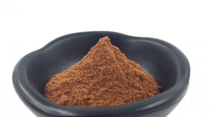 High Quality organic shikakai powder from india