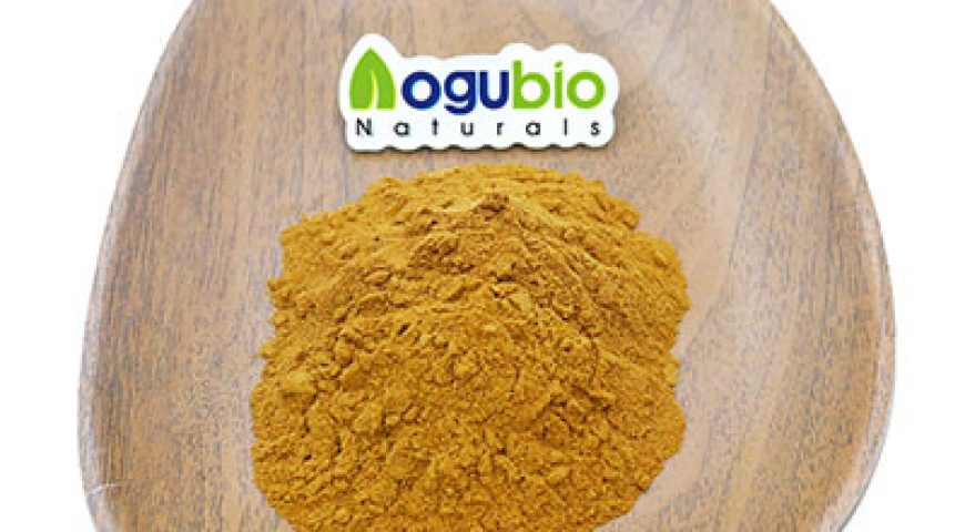 Aogubio supply Organic High Quality Bitter Melon Extract Charantin