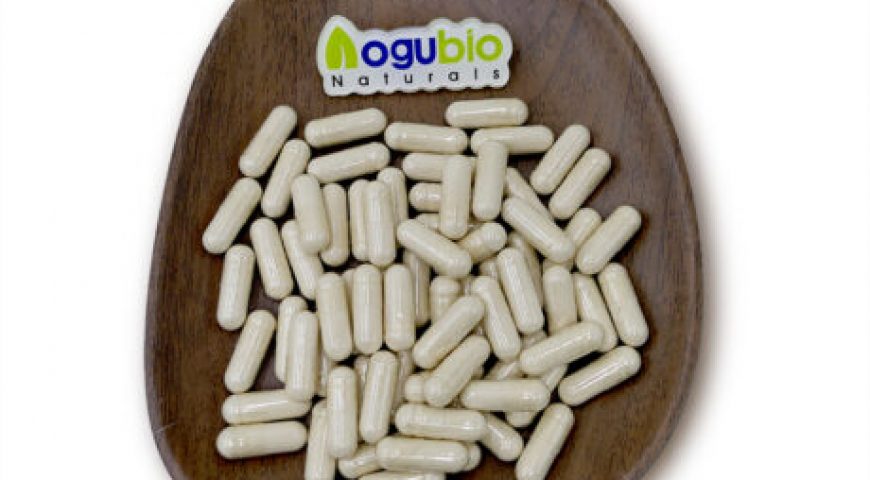 AOGUBIO Supply Creatine Monohydrate 200 Mesh Bodybuilding Supplements