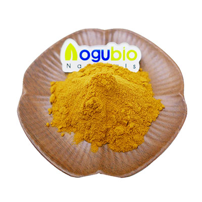 Aogubio Best Price Pine Needle Extract powder