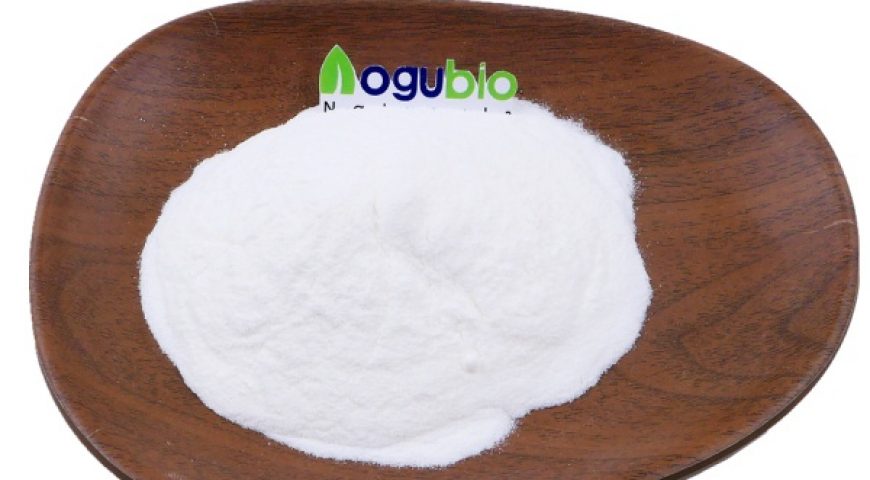 AOGUBIO Calcium Supplement 99% Calcium Lactate Powder