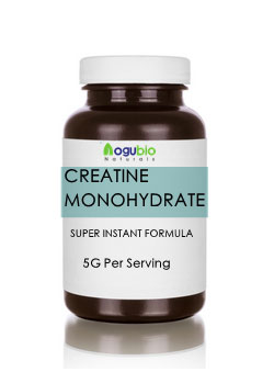 Creatine Monohydrate Powder Supplement
