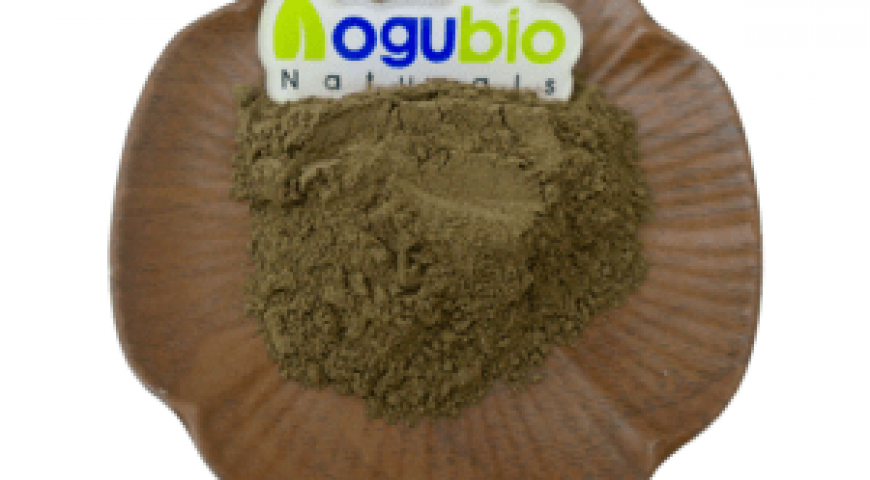 Aogubio supply high qualiity Bacopa Monnieri Extract
