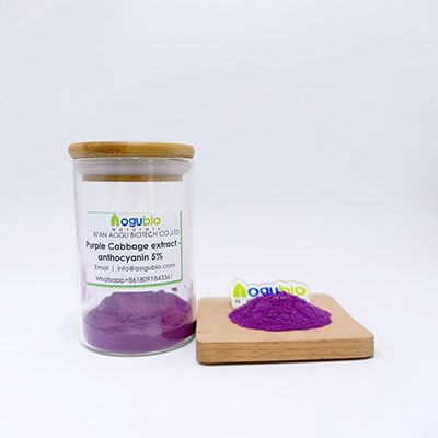 Aogubio can supply Purple cabbage extract powder