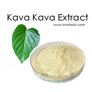 KAVA EXTRACT AND BENIFITS OF KAVA